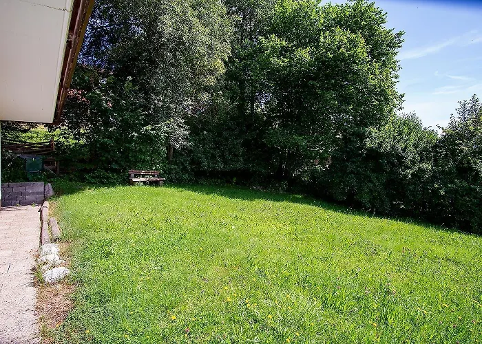 Sonnenschein